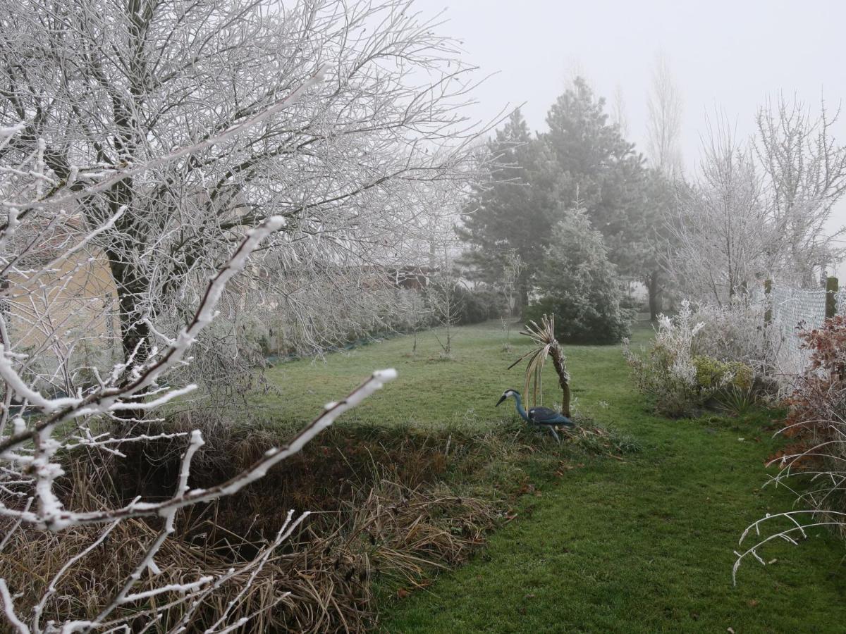 Gite Enchanteur Avec Jardin Prive Et Climatisation Pres Du Chateau D'Azay-Le-Ferron - Fr-1-591-457 Bed & Breakfast Exterior photo